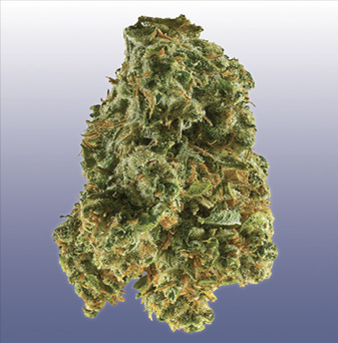 Super Silver Haze flower