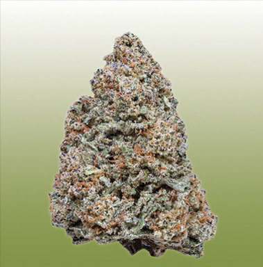 Mac Stomper flower